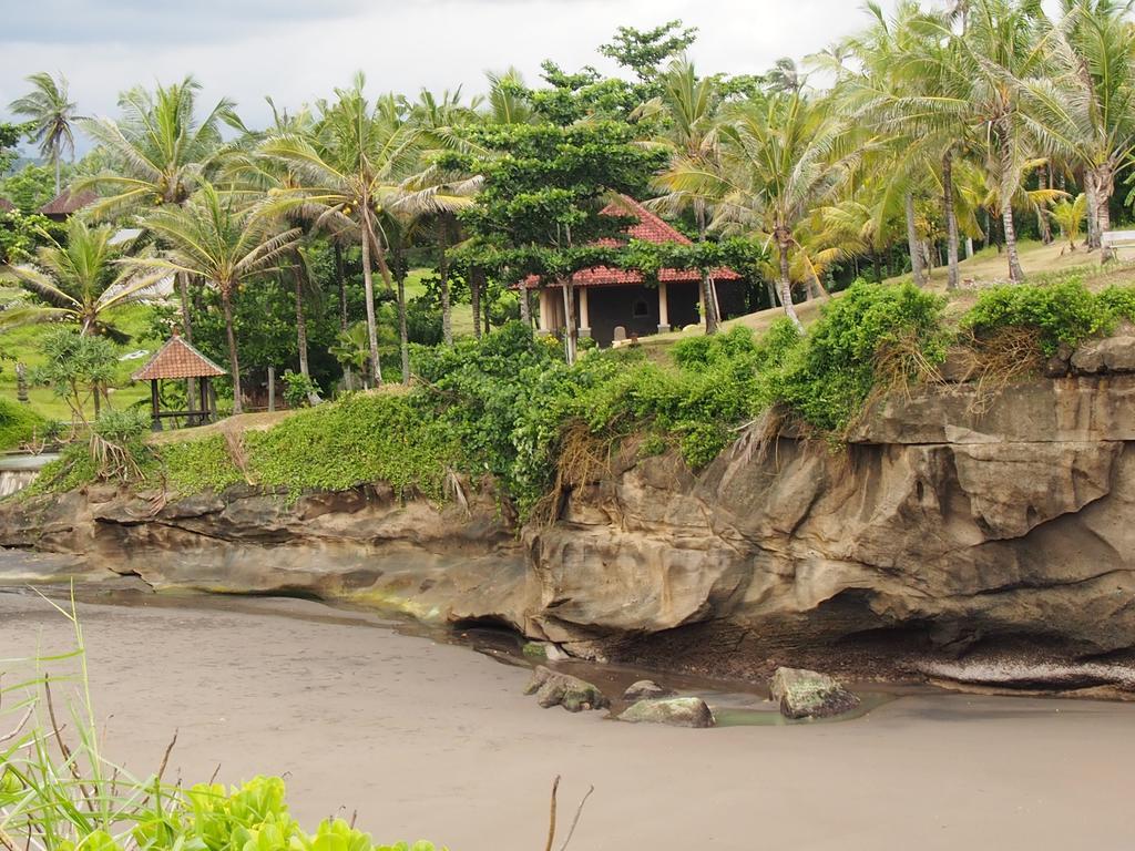 Gajah Mina Beach Resort Selemadeg  Exterior foto