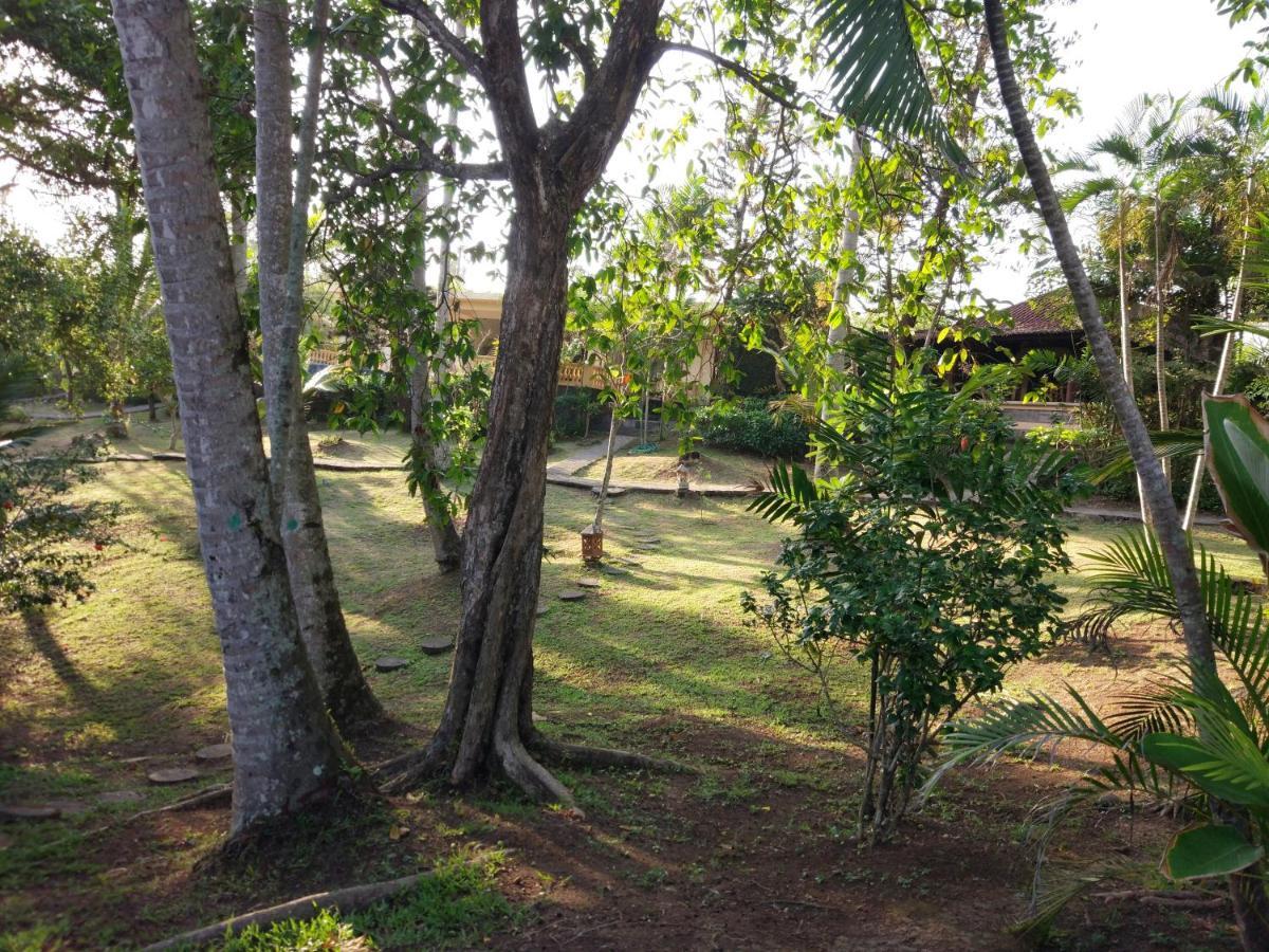 Gajah Mina Beach Resort Selemadeg  Exterior foto
